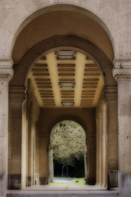 Durchschaut -  © Helga Jaramillo Arenas - Fotografie und Poesie / Januar 2022