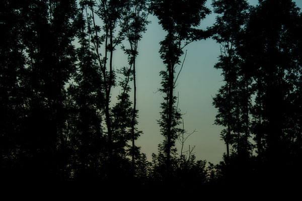 Stille des herannahenden Abends - © Helga Jaramillo Arenas - Fotografie und Poesie / August 2016