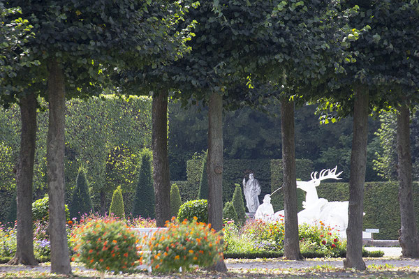 In wilden Wäldern - Schlosspark Schwetzingen -  © Helga Jaramillo Arenas - Fotografie und Poesie / August 2023