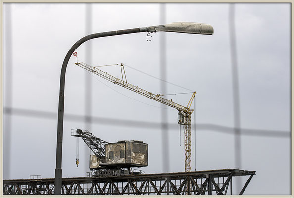 Im Rampenlicht - © Helga Jaramillo Arenas - Fotografie und Poesie / August 2017