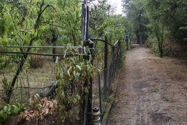 Der Herbstspaziergang - © Helga Jaramillo Arenas - Fotografie und Poesie / Oktoberber 2018