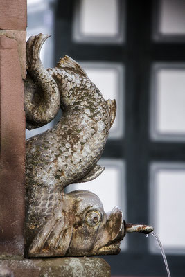 Am Fischbrunnen (1) / Höchst im Odenwald - © Helga Jaramillo Arenas - Fotografie und Poesie / August 2018 