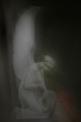 Erdgebunden - © Helga Jaramillo Arenas - Fotografie und Poesie / Dezember 2025 