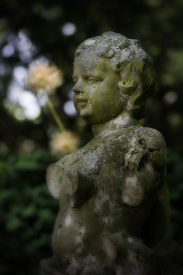 Was bleibt - © Helga Jaramillo Arenas - Fotografie und Poesie / August 2020