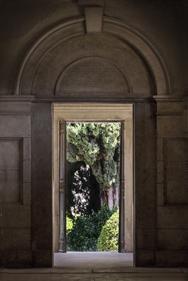 Suche - © Helga Jaramillo Arenas - Fotografie und Poesie / Mai 2018