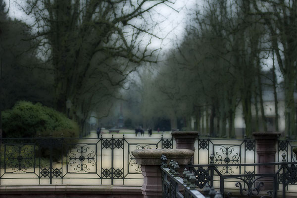Sonntags im Park I. - © Helga Jaramillo Arenas - Fotografie und Poesie / Februar 2018