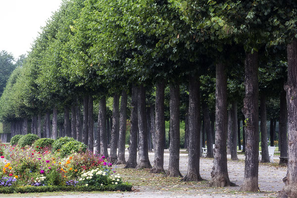 Endlich wieder Schwetzingen - Schlosspark Schwetzingen -  © Helga Jaramillo Arenas - Fotografie und Poesie / August 2023