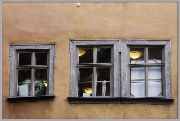 Die stillen Zuschauer - © Helga Jaramillo Arenas - Fotografie und Poesie / August 2019