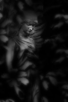 Aus dem Schattenreich - © Helga Jaramillo Arenas - Fotografie und Poesie / März 2026