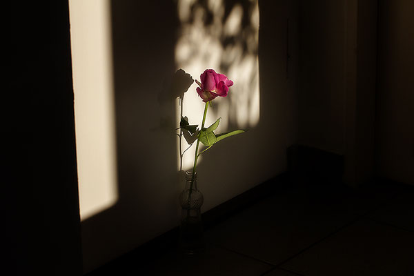Vor der Tür - © Helga Jaramillo Arenas - Fotografie und Poesie / Januar 2017