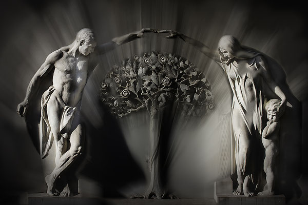 Entwurzelung - © Helga Jaramillo Arenas - Fotografie und Poesie / April 2018