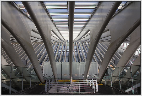 Liége Guillemins - Strebsam - © Helga Jaramillo Arenas - Fotografie und Poesie / April 2018