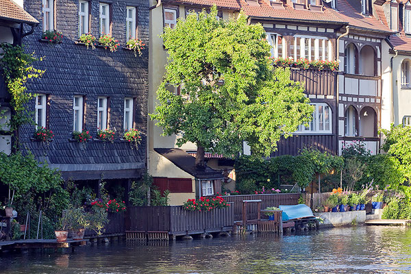 Wenn die Bäume aus den Häusern wachsen / Bamberg - © Helga Jaramillo Arenas - Fotografie und Poesie / Juni 2015