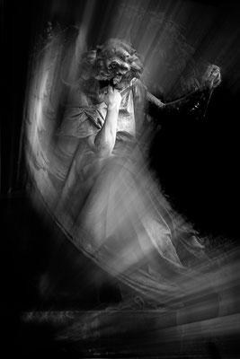 Lichtgebunden -  © Helga Jaramillo Arenas - Fotografie und Poesie / Februar 2023