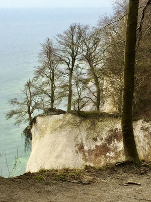 Lebenskünstler - Rügen - © Helga Jaramillo Arenas - Fotografie und Poesie / Dezember 2024