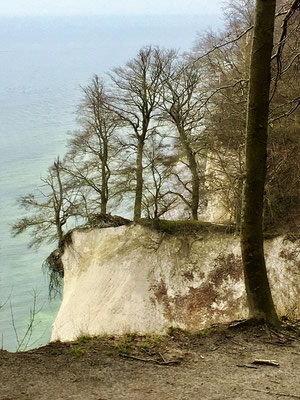 Lebenskünstler - Rügen - © Helga Jaramillo Arenas - Fotografie und Poesie / Dezember 2024