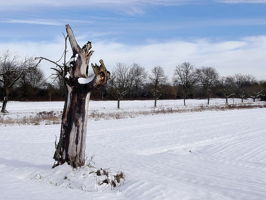 Der Prediger im Schnee © Helga Jaramillo Arenas - Fotografie und Poesie / Februar 2026