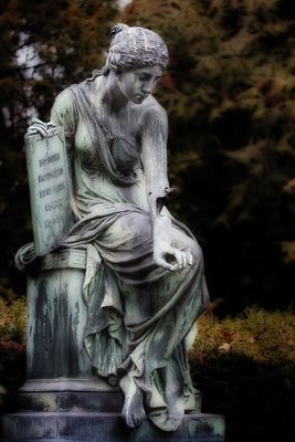 Verletzt doch ungebrochen - © Helga Jaramillo Arenas - Fotografie und Poesie / April 2017