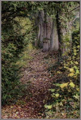 Unglaubliche Begegnungen - © Helga Jaramillo Arenas - Fotografie und Poesie / Februar 2017