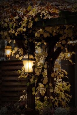 Wärmendes Licht - © Helga Jaramillo Arenas - Fotografie und Poesie / November 2017