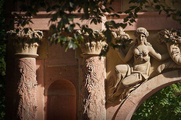 Füllhorn des Sommers / Heidelberg - © Helga Jaramillo Arenas - Fotografie und Poesie / August 2015