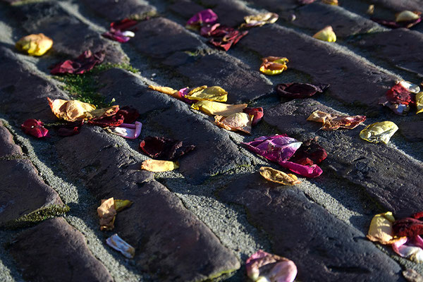 Auf Rosen wandeln - © Helga Jaramillo Arenas - Fotografie und Poesie / Oktober 2011 