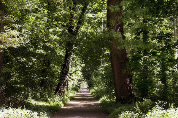Glückliche Wege -  © Helga Jaramillo Arenas - Fotografie und Poesie / Mai 2022