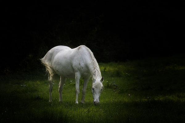 Abendstille (2) - © Helga Jaramillo Arenas - Fotografie und Poesie / Mai 2019