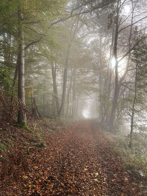 Zauberwege - © Helga Jaramillo Arenas - Fotografie und Poesie / März 2025