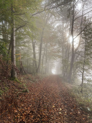 Zauberwege - © Helga Jaramillo Arenas - Fotografie und Poesie / März 2025