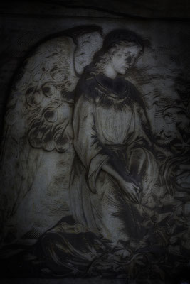 In Winternächten (1) - © Helga Jaramillo Arenas - Fotografie und Poesie / Dezember 2018