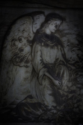 In Winternächten (1) - © Helga Jaramillo Arenas - Fotografie und Poesie / Dezember 2018