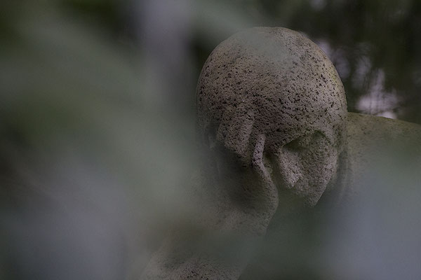 Gedanken empfangen -  © Helga Jaramillo Arenas - Fotografie und Poesie / Oktober 2022