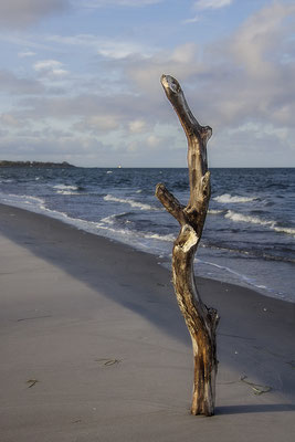 DerPrediger am Meer - © Helga Jaramillo Arenas - Fotografie und Poesie / Januar 2019