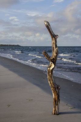 DerPrediger am Meer - © Helga Jaramillo Arenas - Fotografie und Poesie / Januar 2019