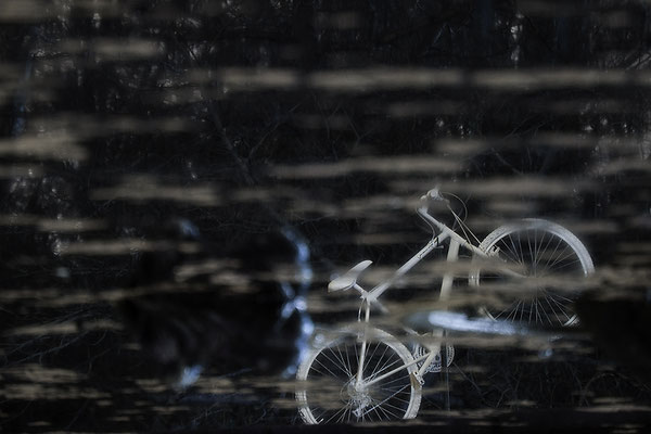 Versunken - © Helga Jaramillo Arenas - Fotografie und Poesie / Mai 2018