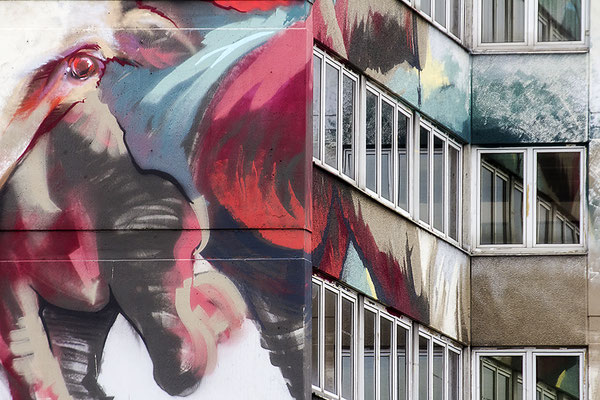 Das rote Auge - © Helga Jaramillo Arenas - Fotografie und Poesie / Juli 2018