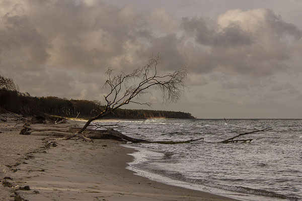 Wasser und Land (2) - © Helga Jaramillo Arenas - Fotografie und Poesie / Januar 2019