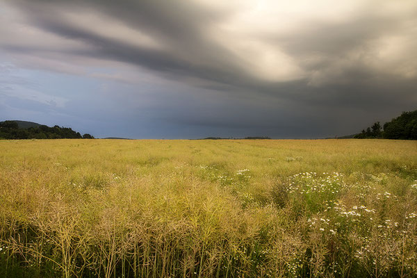 Urvertrauen - © Helga Jaramillo Arenas - Fotografie und Poesie / Juli 2024