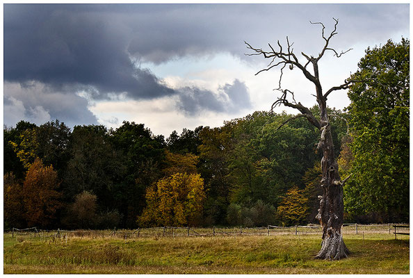 Das herannahende Unwetter - © Helga Jaramillo Arenas - Fotografie und Poesie / November 2012