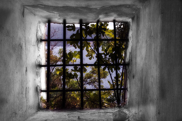 Zimmer mit Ausblick -  © Helga Jaramillo Arenas - Fotografie und Poesie / September 2022