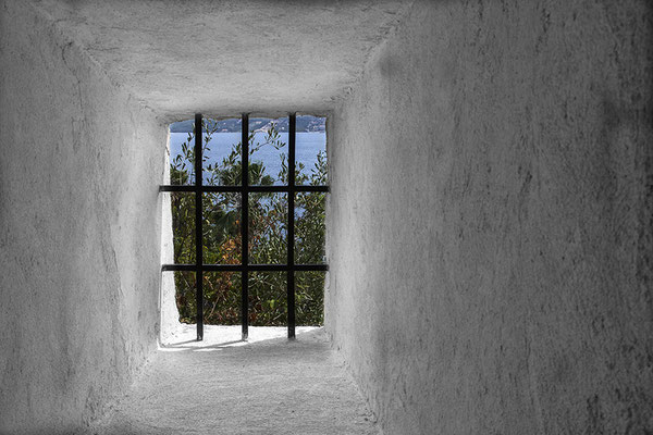 Die Gedanken sind frei -  © Helga Jaramillo Arenas - Fotografie und Poesie / September 2022