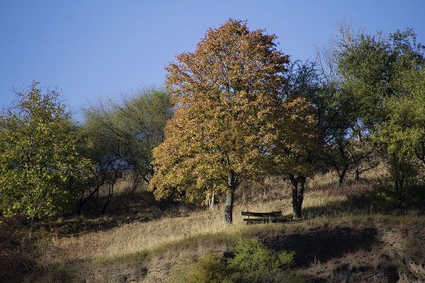 Die Stille des Herbstes - © Helga Jaramillo Arenas - Fotografie und Poesie / Oktober 2018