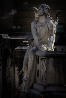 Des Lebens tägliche Forderungen - © Helga Jaramillo Arenas - Fotografie und Poesie / Dezember 2018