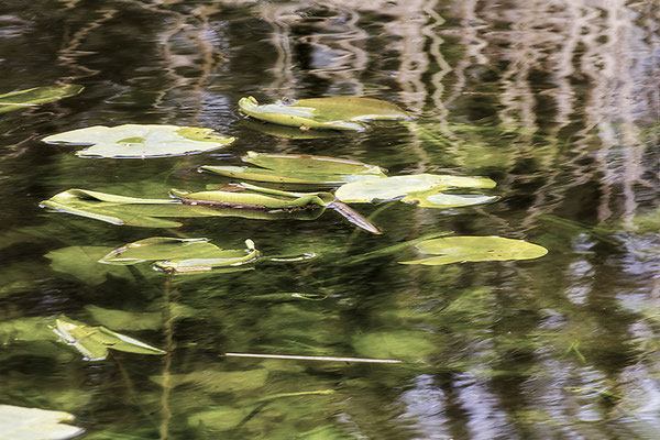 Im Gefühl der Schwerelosigkeit - © Helga Jaramillo Arenas - Fotografie und Poesie / April 2019