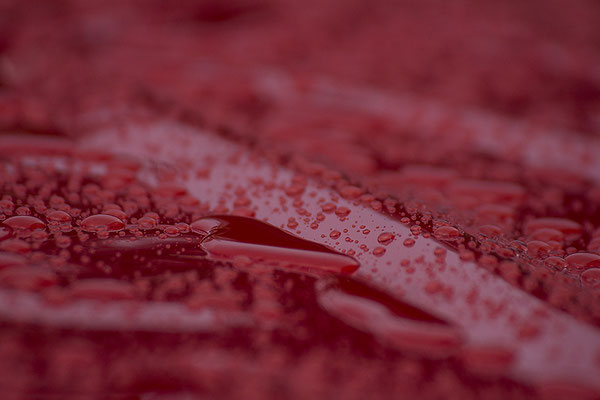 Regen trifft Plastik (1) - © Helga Jaramillo Arenas - Fotografie und Poesie / November 2017