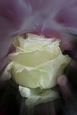 Geboren - © Helga Jaramillo Arenas - Fotografie und Poesie / Mai 2024
