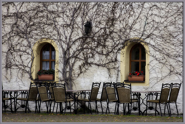Das Warten auf den Frühling - © Helga Jaramillo Arenas - Fotografie und Poesie / Dezember 2017 