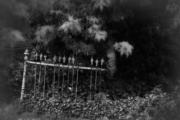 Aus alten Zeiten -  © Helga Jaramillo Arenas - Fotografie und Poesie / Februar 2021