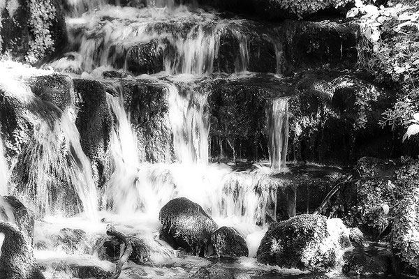 Wasserleuchten II. -  © Helga Jaramillo Arenas - Fotografie und Poesie / Juli 2021 